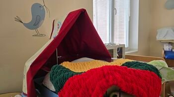 Sausio 13-ąją patikėta gyvybės langeliui: naujagimė trispalviame pleduke