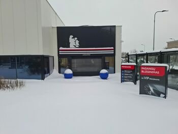 Pelningu turėjęs būti verslas virto milijoniniais nuostoliais