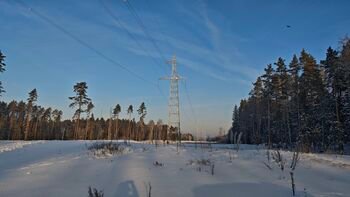 Požeminiai elektros kabeliai miškams grąžins šimtus hektarų ir prisidės prie klimato kaitos švelninimo