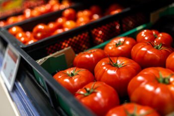 Pirmieji lietuviško derliaus pomidorai jau pasiekė parduotuvių lentynas: ką gardaus pasigaminti?
