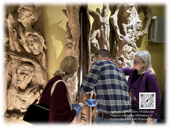 Naujos galimybės senovinės medienos tyrimuose: VDU ŽŪA Miškų ir ekologijos fakulteto genetikams iš skulptūros žievės pavyko išskirti DNR