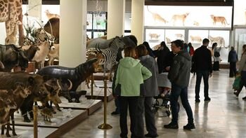 Kauno Tado Ivanausko zoologijos muziejus: rekordinis lankytojų skaičius ir šiemet atidaromos interaktyvios ekspozicijos