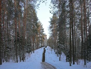 Pritrūkote idėjų žiemos savaitgaliams? Anykščiai siūlo 10 skirtingų veiklų