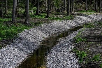 Kodėl poligonai ir gamtosauga yra suderinami?