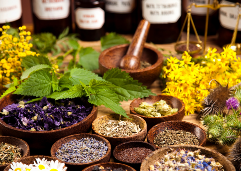 Kviečiame išrinkti šių metų Vaistinį augalą!