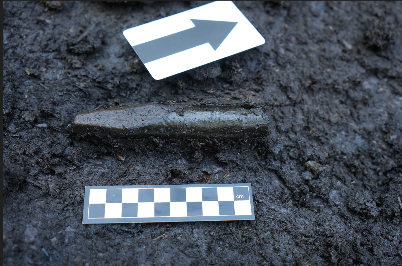 Nauji Turlojiškės durpyno tyrimai atskleidžia vėlyvojo bronzos amžiaus konflikto pėdsakus