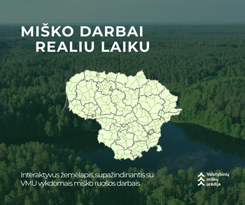 Miško ruošos darbai – viešai ir aiškiai: VMU pristato interaktyvų kirtimų žemėlapį