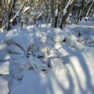 Poilsio vieta virto sąvartynu: Varnikų miške išverstos statybinės atliekos