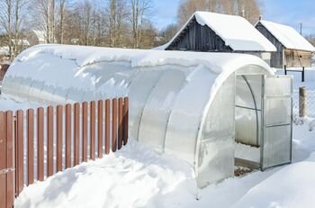 Po tikros žiemos – išbandymas sodams: prasidėjus atodrėkiui lūžta šiltnamiai
