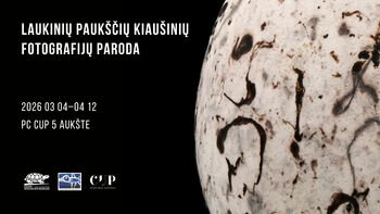 Išskirtinė „Laukinių paukščių kiaušinių fotografijų paroda“ Vilniuje prekybos centre CUP