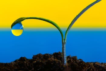 Kaip veikia propaganda? Rusijos įtaka Ukrainai ir Vakarų visuomenėms