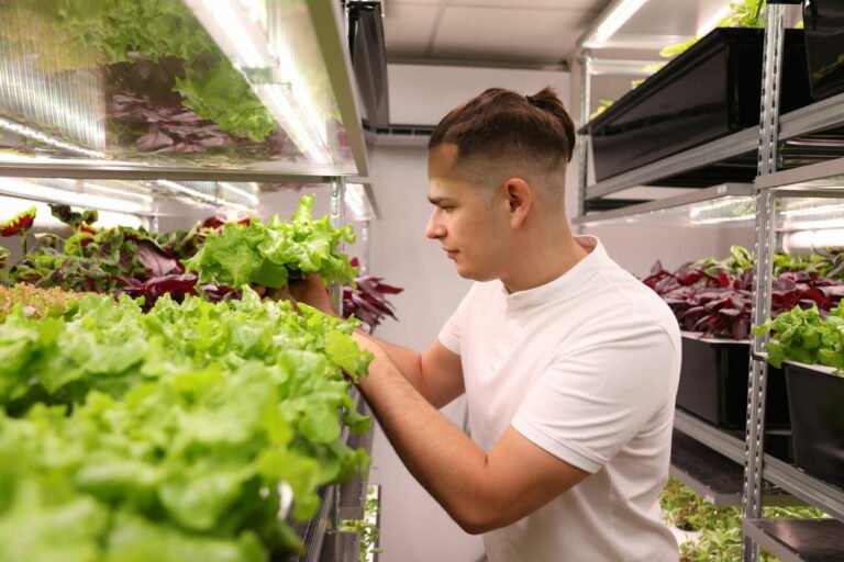 Startuolio „Freya Cultivation Systems“ įkūrėjas dr. Gediminas Kudirka: Lietuva yra gera vieta kurti mokslu pagrįstus verslus