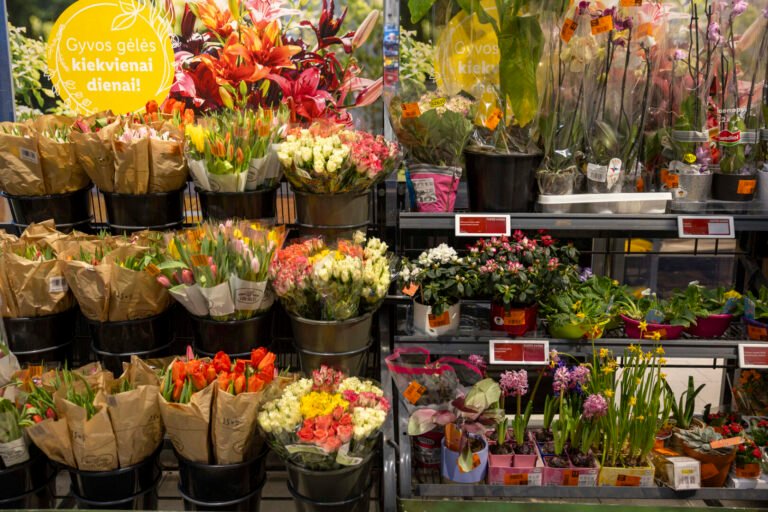 Artėjanti Valentino diena pakoreguoja pirkėjų krepšelius: kaip Lietuvoje švenčiama meilė?