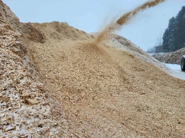 Biokuras iš Latvijos jau pasiekė Vilniaus kogeneracinę jėgainę