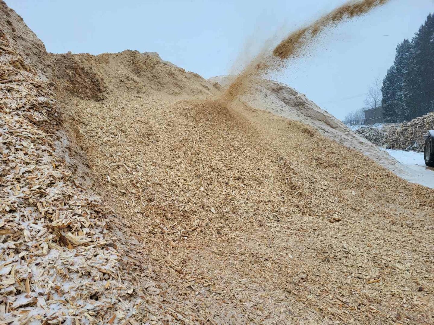 Biokuras iš Latvijos jau pasiekė Vilniaus kogeneracinę jėgainę