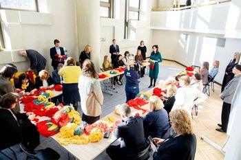 Ministerijų ir Vyriausybės kanceliarijos bendruomenė pradėjo Kovo 11-ąją švęsti prasmingai: mezgė Lietuvos vėliavos spalvų migdukus sunkios sveikatos būklės mažyliams (Atnaujinta)