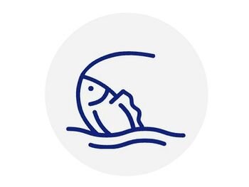 Žvejų mėgėjų dėmesiui – atnaujinta „eLaimikis“ programėlė kviečia registruoti laimikius dar patogiau