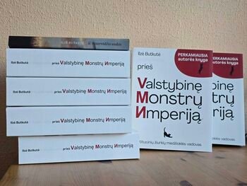 VMI viršininkės deklaracijos kelia klausimų (Atnaujinta)