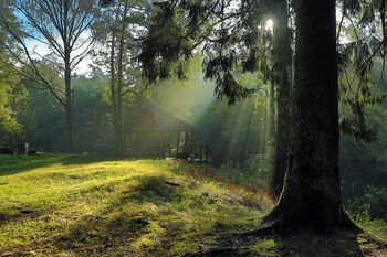 VMU 2025 m. finansiniai rezultatai – atsakingas balansas tarp ekonominės, ekologinės ir socialinės grąžos valstybei