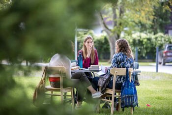 Kurti vasarą Palangoje: Lietuvos nacionalinis muziejus kviečia reziduoti „Kūrybatorijoje“