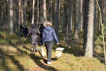 „Paukščiai grįžta namo“: visoje Lietuvoje tęsiama šimtametė inkilų kėlimo tradicija