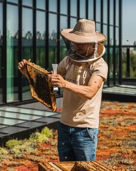 Mikroplastikas ir bitės: kaip rūšiavimas saugo gamtą?