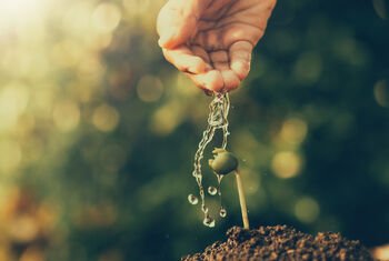 Sveikas dirvožemis – švarus vanduo. Kodėl svarbu tirti abu?
