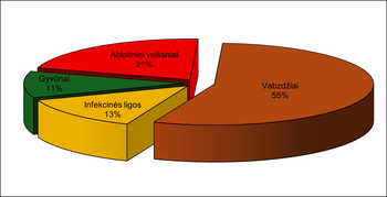 Valstybinių miškų sanitarinė būklė: mažėjantys pažeidimai ir augančios rizikos