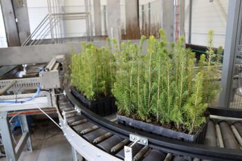 Panevėžio medelyne pradėjo veikti moderni sėklų saugykla