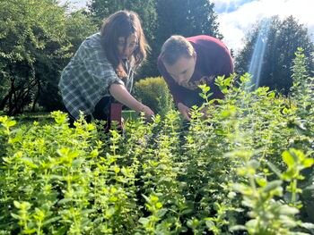 Žolelių projektas išaugo į arbatinę Vilniaus centre: dirbs žmonės su negalia