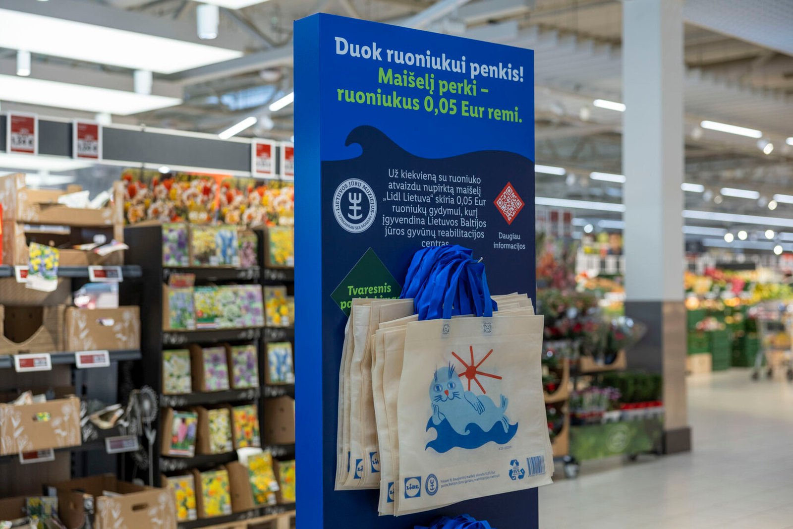 Pajūryje – metas, kai pakrantėje pasirodo ruonių jaunikliai: kaip elgtis pastebėjus ruoniuką ir kaip atpažinti, kada jiems reikia pagalbos?