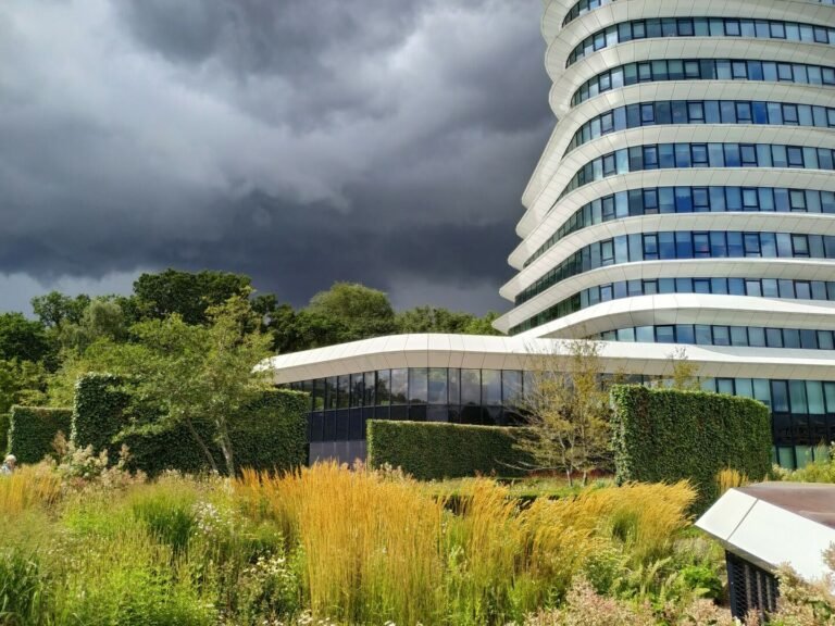 Karščio salos, botaninis „seksizmas“ ir žalieji pastatai: kaip turėtų keistis mūsų požiūris į miestų apželdinimą?