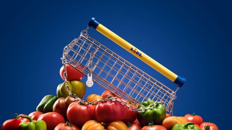 Išskirtinė galimybė „Lidl“ pirkėjams Lietuvoje: galės laimėti žymaus Niujorko dizainerio sukurtą unikalų aksesuarą – prekių vežimėlį-rankinę