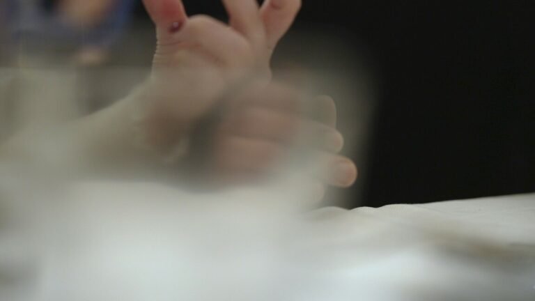 „Carmen: Utopias of Belonging“ Venecijos meno bienalėje: kūrinys įkvėptas Lietuvos Didžiosios Kunigaikštystės istorijos