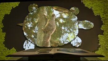 Kauno Tado Ivanausko zoologijos muziejuje atidaroma nauja interaktyvi ekspozicija