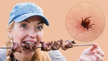 Erkės platina ne tik infekcijas - sukelia pavojingą gyvybei alergiją mėsai (Atnaujinta)