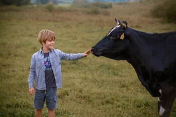 Prieš deklaravimo pradžią svarbūs pokyčiai: trumpėja terminai, mažėja ribojimai, auga parama