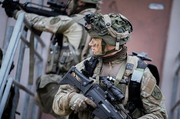 Užsienio gynybos ekspertai: poligonai – realaus karinio pasirengimo pagrindas