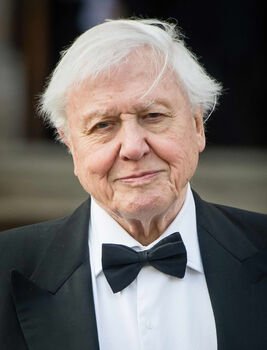 Minint 100-ąjį Davido Attenborough’o gimtadienį Lietuvoje pasirodo jo knyga apie paukščius