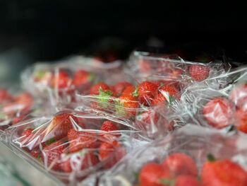 Sausį pasodino, balandį jau skina: pirmosios lietuviškos braškės – jau parduotuvių lentynose