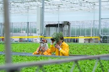 Audrius Bružas grįžta kitokiame amplua: naujame seriale įsikūnijo į dar nematytą detektyvą