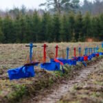 Kodėl sodiname mišką: faktai vietoje mitų