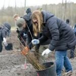 Nacionalinis miškasodis Prezidento V. Adamkaus 100-mečiui: visoje Lietuvoje pasodinta daugiau nei 155 tūkst. ąžuolų