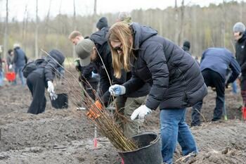 Nacionalinis miškasodis Prezidento V. Adamkaus 100-mečiui: visoje Lietuvoje pasodinta daugiau nei 155 tūkst. ąžuolų