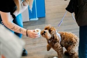 Augintinių pusryčiai Panevėžio prekybos parke „Tower“