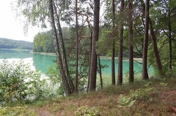 Šiltasis sezonas miške: ką būtina žinoti lankytojams