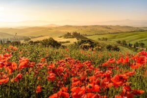 Tikrasis Toskanos žavesys: lietuvės gidės patarimai keliautojams