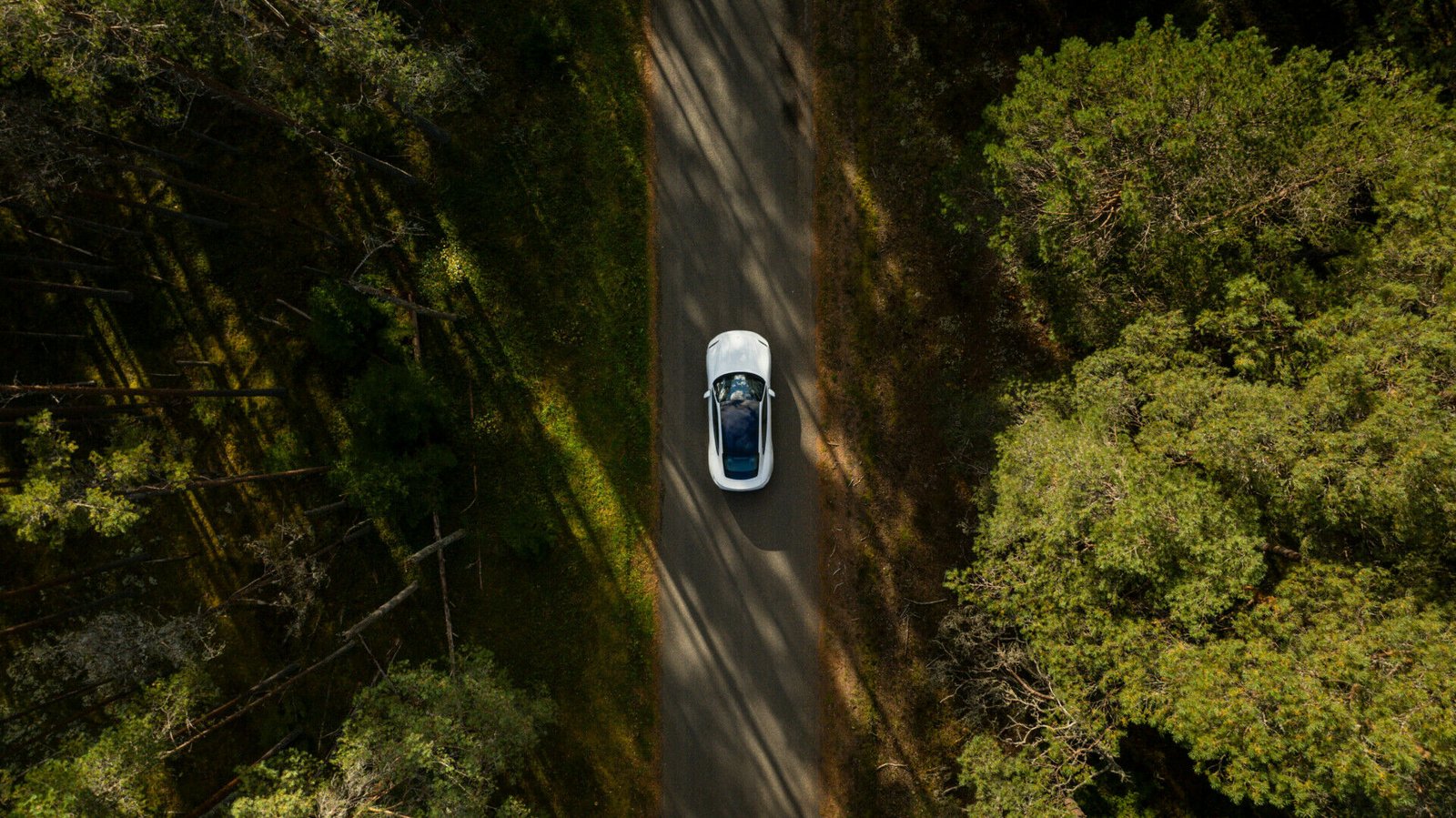 Ir pirmaujantys, ir atsiliekantys: kodėl Lietuvos keliuose elektromobilių mažiau nei kitose šalyse?