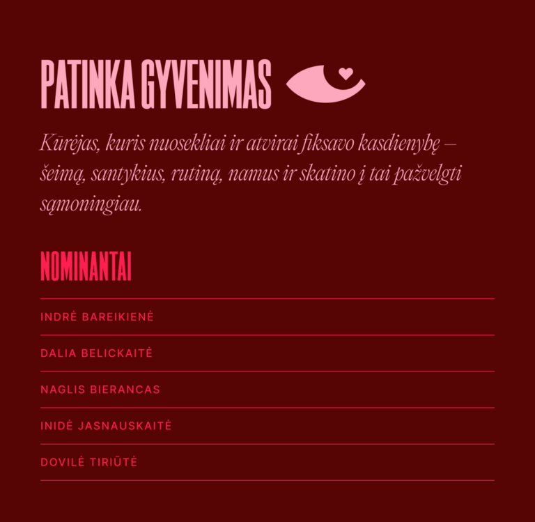 Vilniuje paskelbti pirmųjų turinio kūrėjų apdovanojimų „Patinka“ nominantai: paaiškėjo, kas pretenduoja tapti geriausiais