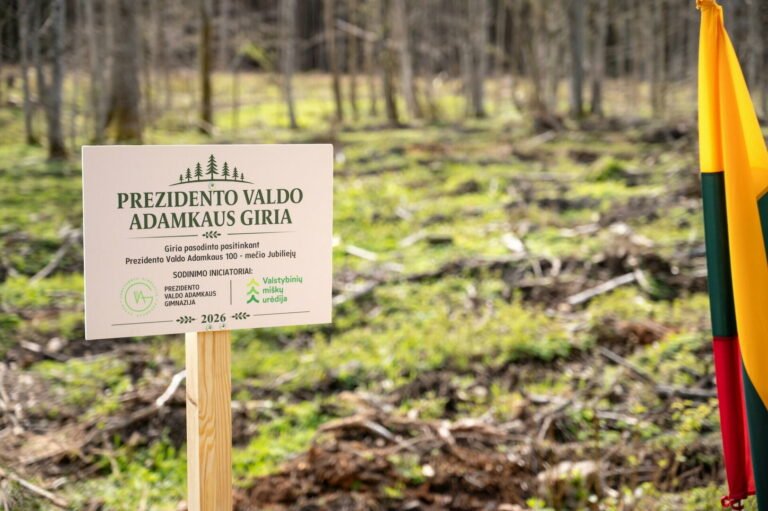 Kauno gimnazistai artėjantį Prezidento Valdo Adamkaus šimtmetį įprasmino sodindami jo vardo giraitę